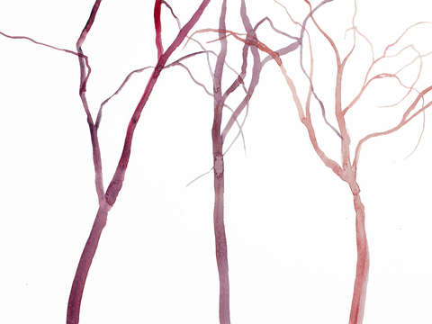 Tree study no 39