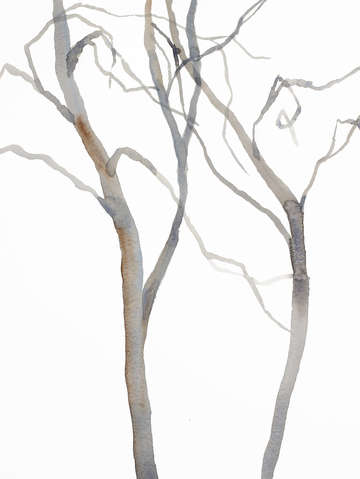 Tree study no 40