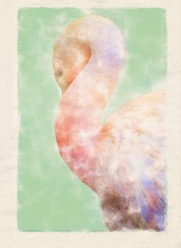Napping pelican digital watercolor