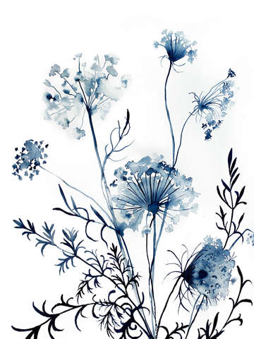 Queen annes lace no 10
