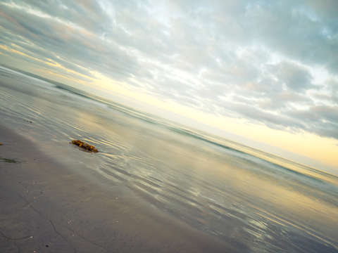 Mission beach serene