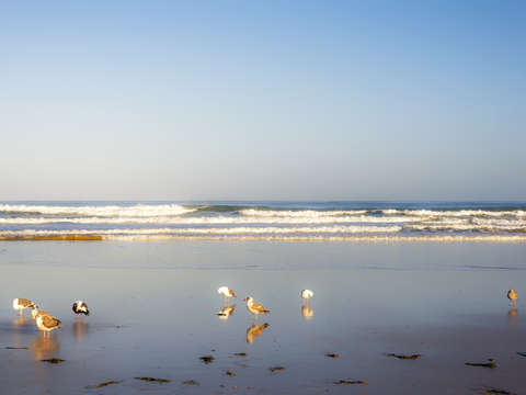 Morning exercise la jolla