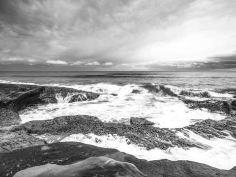 Whites blacks and grays at the tide pools