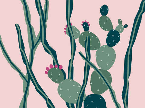Cactus 6