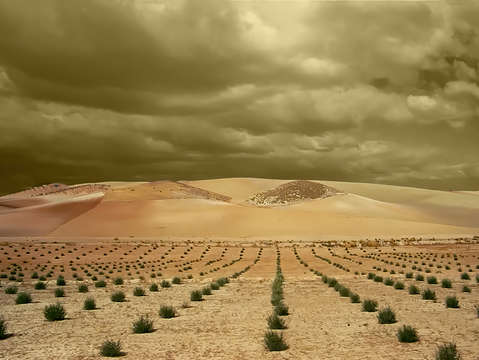 Spain plain train