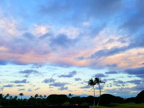 Sunset over the palms