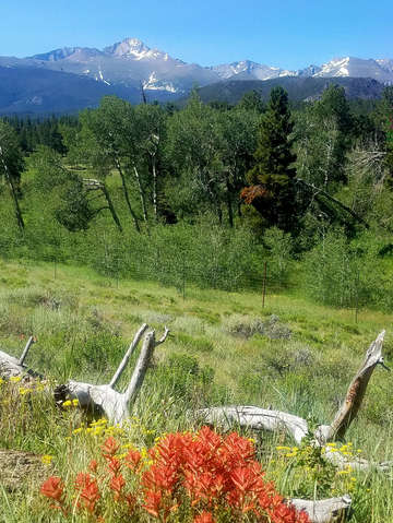 Longs peak and the beaver