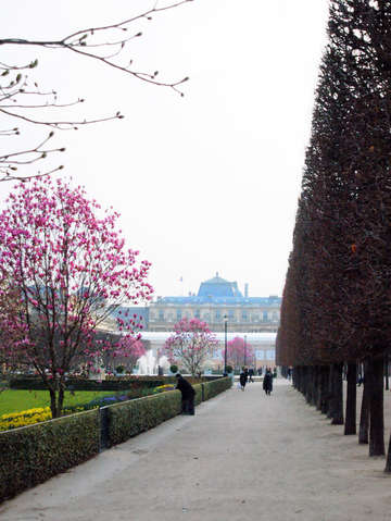 Paris in springtime