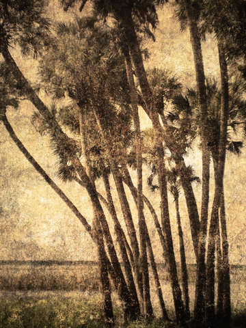 Florida