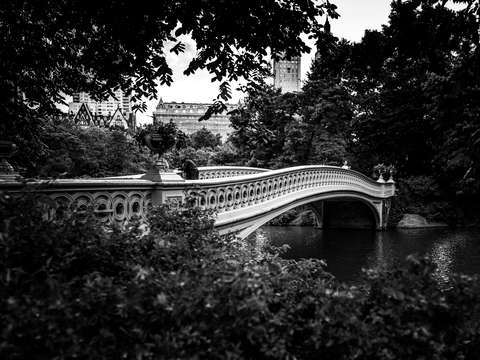 Elegant bow bridge