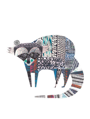 Clare youngs raccoon