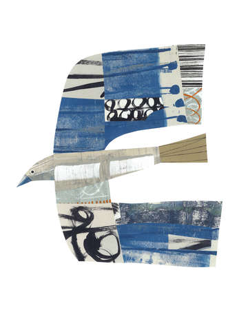 Clare youngs migrating bird
