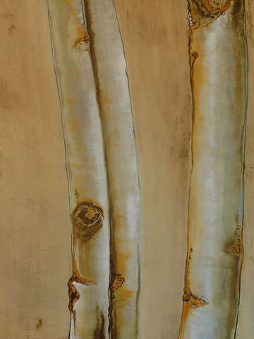 White birch