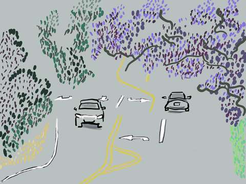 Jacaranda