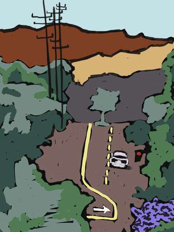 Jacaranda hill