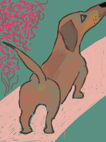 Hotel hound