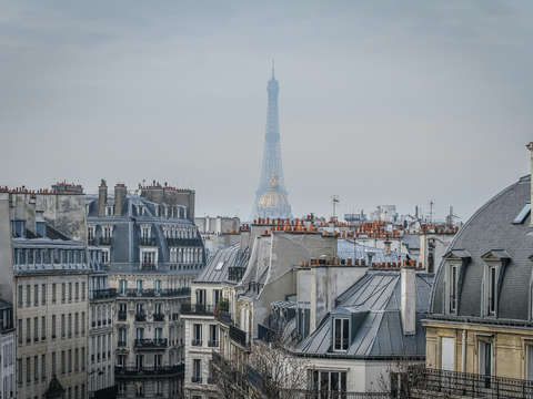 Moody eiffel tower view