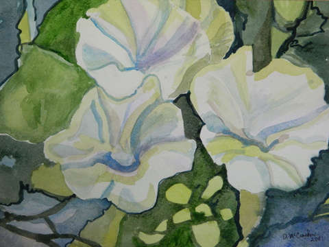 Coffeyville Morning Glories