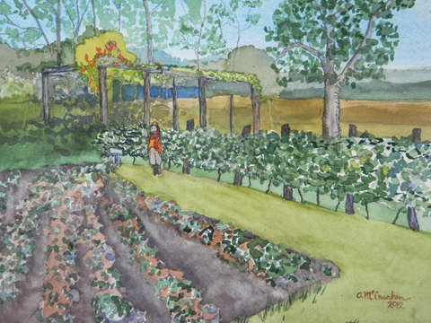Heretage Garden