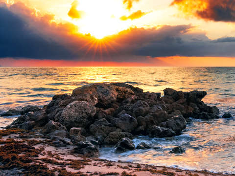 Sobre mi deerfield beach florida 2