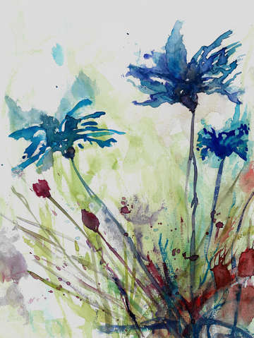 Wildflowers 7