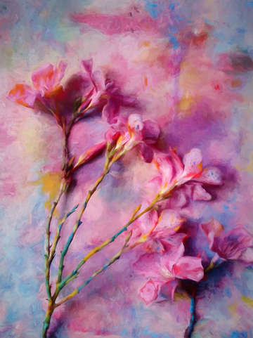 Floral 3