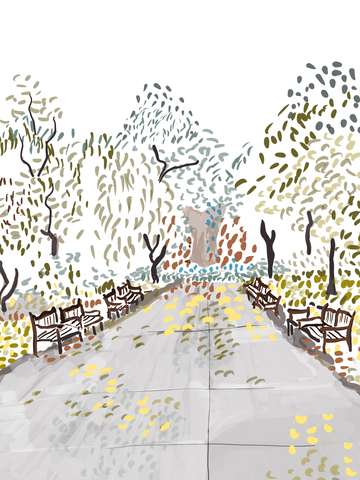 Park in rain