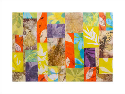 Biophilia 6