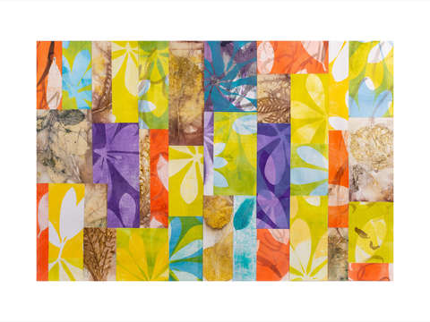 Biophilia 8