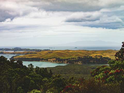 Rangitoto summit