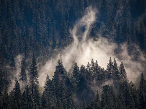Rising mist