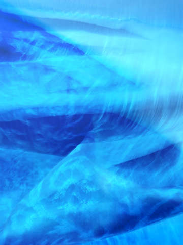 Stormy coast 8640
