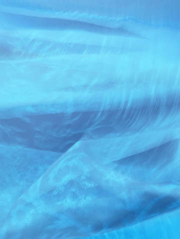 Blue 8640