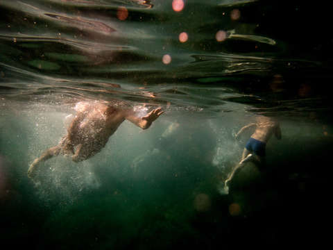 Swimmers iii