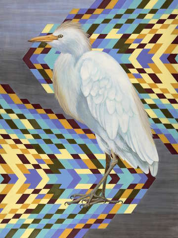 Bubulcus ibis