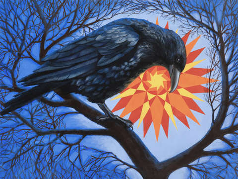 Corvus con sol