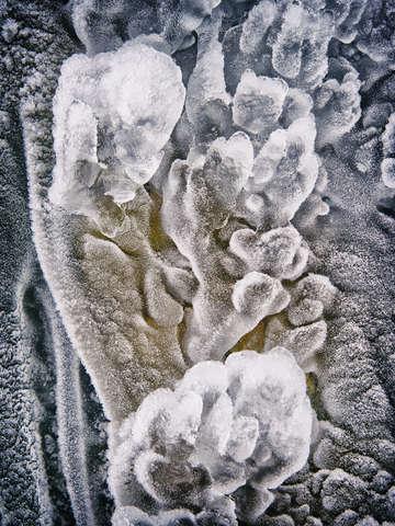 Iceforms i