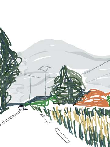 Tall trees 2
