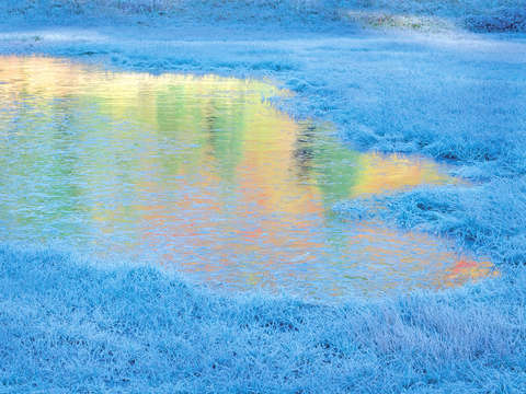 Frozen autumn pond