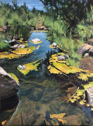 Algae on running stream