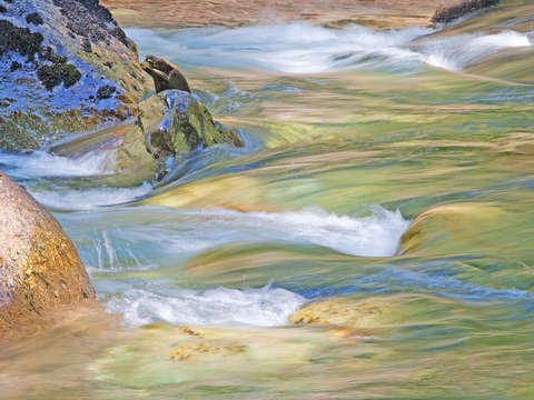 Ohanapecosh river abstract 2