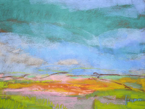 Wildflower meadow i