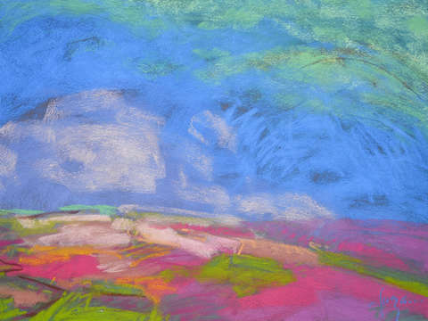 Wildflower meadow ii