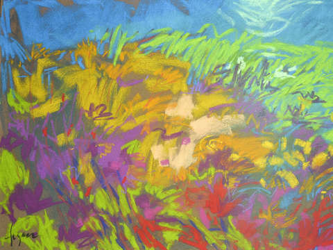 Wildflower meadow iv