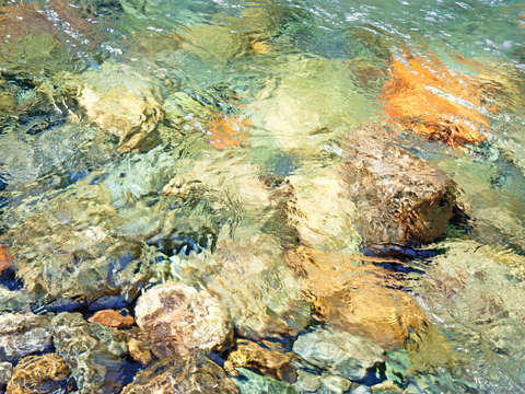 Ohanapecosh river abstract 3
