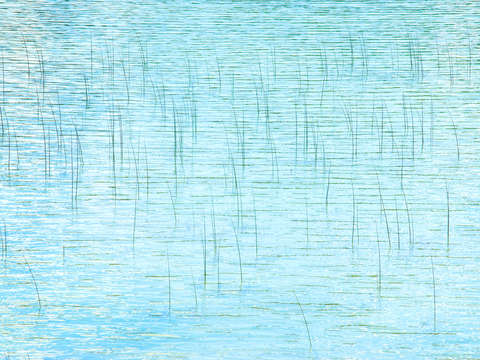 Reeds in lake pastel