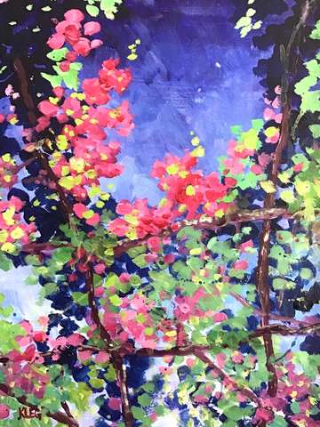 Bougainvillea blossoms in positano