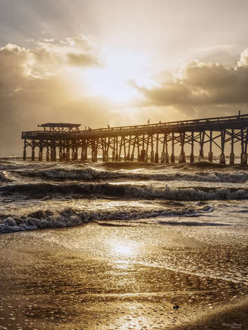 Golden light over cocoa