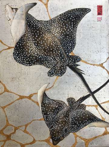 Spotted eagle rays