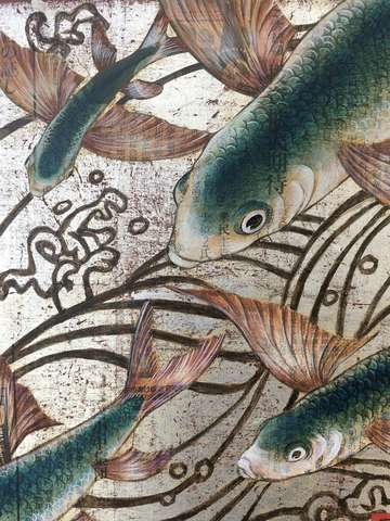 Flying fish 2